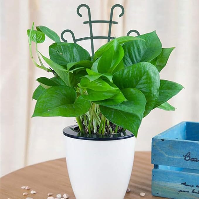 6PCS Trellis for Potted Plants, Stackable Indoor Plant Trellis for Climbing Plants Outdoor for Vine Ivy Hoya Houseplants Flower Plant Support