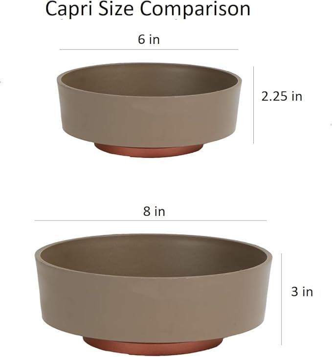 The HC Companies 8 Inch Round Plastic Succulent Capri Bowl Decorative Indoor Flower Succulent Planter Pot with Drain Plug Hole, Artisan Taupe with Copper Bottom Color (2 Pack)