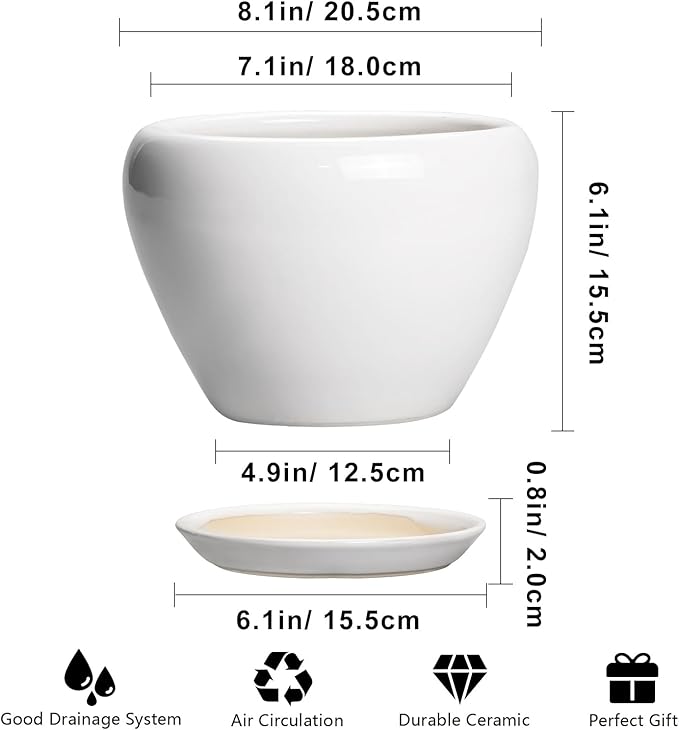 Ceramic Pot for Plants - 8 Inch Ceramic Planter for Indoor Plants, Modern Round Planter with Drainage Hole and Saucer, Plant Lover Gifts, Home Office Garden Decor, White