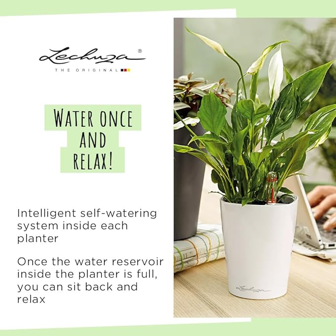 Lechuza 14900 Deltini Self-Watering Planter for Indoor and Outdoor Use, 6" x 6" x 7", White