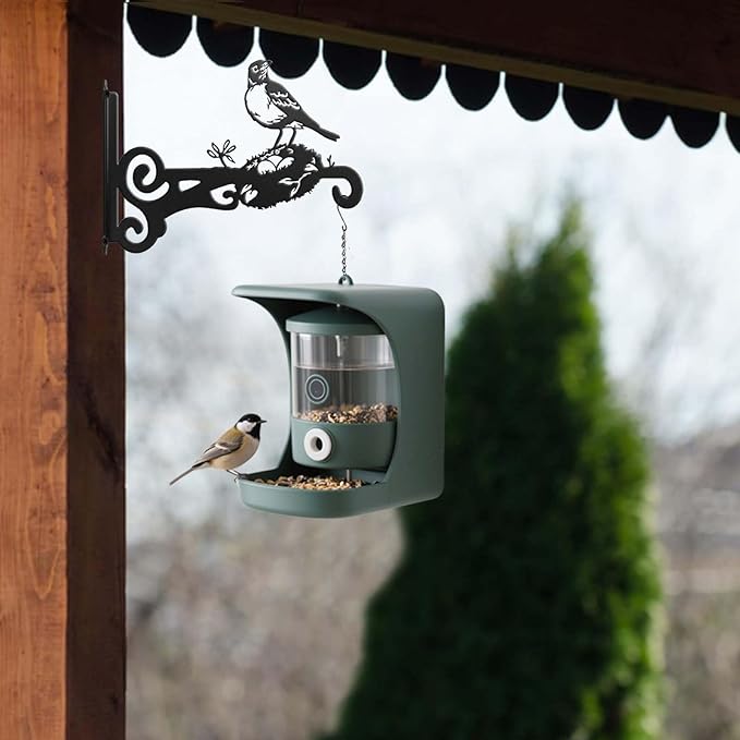 2-Pack Aesthetic Plant Hanger Indoor and Outdoor – 10 Inch Metal Hanging Plant Bracket with Beautiful Bird Pattern – Anti Rust Plant Hooks for Hanging Plants, Bird Feeder, Wind Chime, Lantern