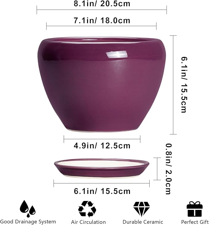 Ceramic Planter - 8 Inch Plant Pot Indoor with Drainage Hole and Saucer, Glaze Decorative Planter, Round Flower Pot, Plant Lover Gifts, Home Garden Office Decor, Purple