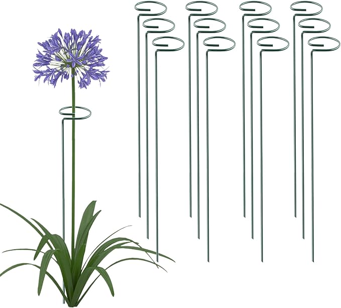 24 Inch 12 Packs Plant Support Stakes,Garden Single stemmed Plant Support Hoops, Plant Prop, for Flowers,Orchid, Tomatoes Peony Lily Rose (24 inch)