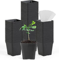 June Fox Square Nursery Pots 3.3 Inches Flexible Plastic Seedling Pots Square Pots for Plants, Succulent, Flower, Pack of 100, with 100 PCS Plant Labels
