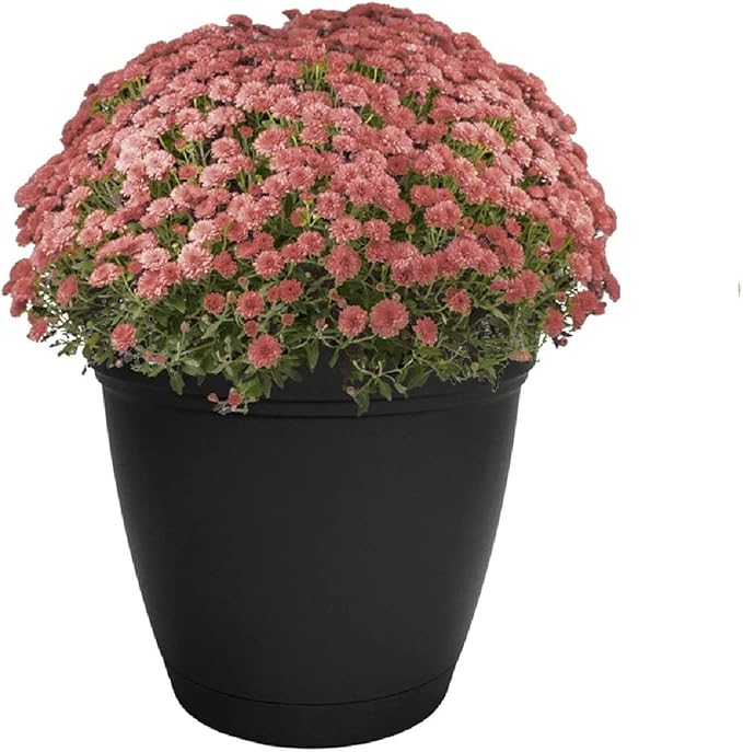 The HC Companies Eclipse Round Planter with Saucer - Outdoor & Indoor Plant Pot with Drainage Holes - Lightweight, UV-Resistant Plastic Pots for Plants, Flowers & Herbs (20" Black, Pack of 1)