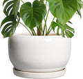 SQOWL Ceramic Pot for Plants - 10 Inch Planter with Drainage Hole and Saucer, Round Ceramic Flower Pot for Indoor Outdoor, Modern Decorative Large Planter, Patio Decor, Gifts for Plant Lovers, White