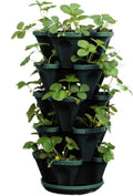 Mr. Stacky 1305-HG 5-Tier Stackable Strawberry, Herb, Flower, & Vegetable Planter - Vertical Gardening Indoor / Outdoor Stacking Garden Pots Hunter Green, 22.5 Quarts