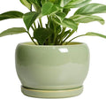 SQOWL 8 Inch Plant Pot - Ceramic Planters with Drainage Hole and Tray, Round Flower Pot for Indoor Plants, Modern Decorative Planters Outdoor, Garden Decor, Housewarming Gifts, Green