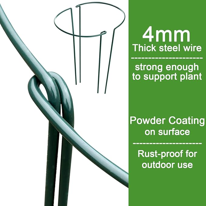 HiGift 8 Pack 24 Inch Plant Support Stakes, 10" Wide x 24" High Half Round Metal Garden Plant Stake Peony Support Cage, Green Plant Support Ring Border for Tomato,Hydrangea,Flower Indoor Outdoor