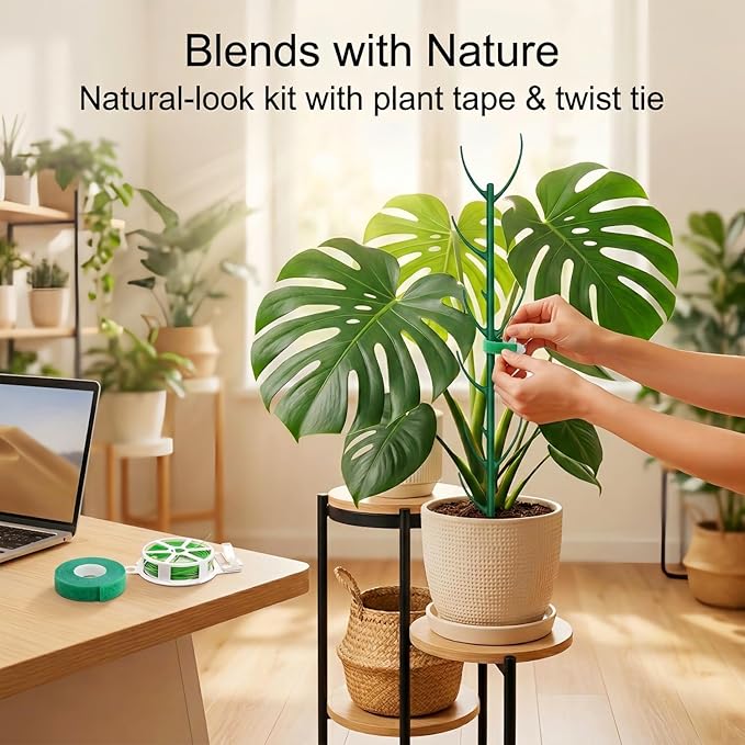 10-Pack Monstera Plant Support Stakes - Stackable Sticks for Indoor Plants up to 25" - Outdoor Garden Poles & Trellis with Tape & Twist Tie for Climbing Vines
