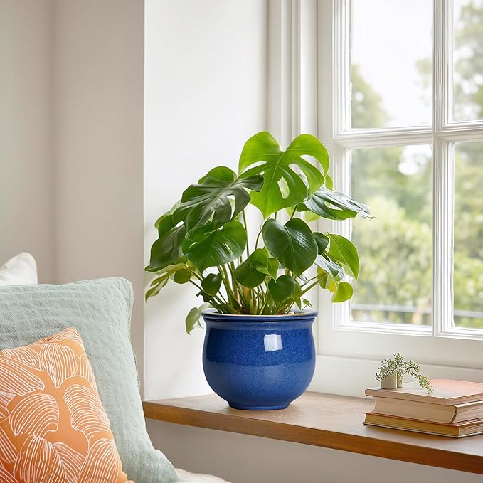 6 Inch Self Watering Pots, Ceramic African Violet Planter with Absorbent Inner Pot, Round Flower Pot for Indoor Plants, Ceramic Pots for Plants, Room Home Decor, Plant Lover Gifts, Blue