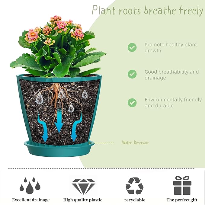 6 Inch Plant Pots, 6 Pack Indoor Flower Pots, Planters with Drainage Holes and Trays for Orchids, Violets, Succulents, Herbs, and Other Plants,Blue-Green