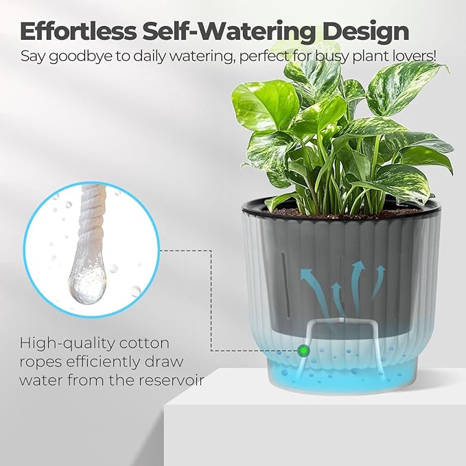 T4U 4 Inch Plant Pots Self Watering, 6 Pack African Violet Pots, Small Plant Pots for Plants, Small Indoor Plant Pot, Self Watering Planter for African Violet, Succulents (6 Pack, 4", White)