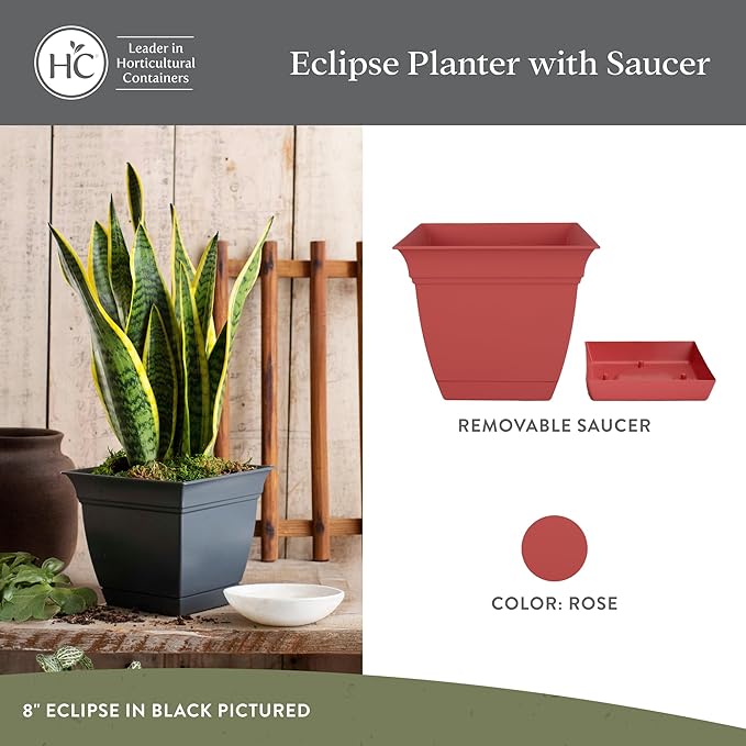 The HC Companies 12 Inch Eclipse Square Planter Pots with Drainage Holes & Attached Saucer, Lightweight UV-Resistant Plastic Indoor Outdoor Planters, 2-Pack Flower Pots for Garden & Home Decor, Rose