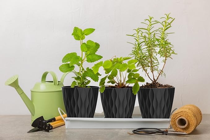6 Inch Plant Pots, 6 Pack Indoor Flower Pots, Planters with Drainage Holes and Trays for Orchids, Violets, Succulents, Herbs, and Other Plants, Black