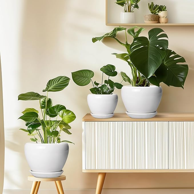 Ceramic Pot for Plants - 6 Inch Plant Pot for Succulent Plants, Glaze Modern Round Planter with Drainage Hole and Saucer, Gifts for Plant Lovers, Home Office Patio Room Decor, White