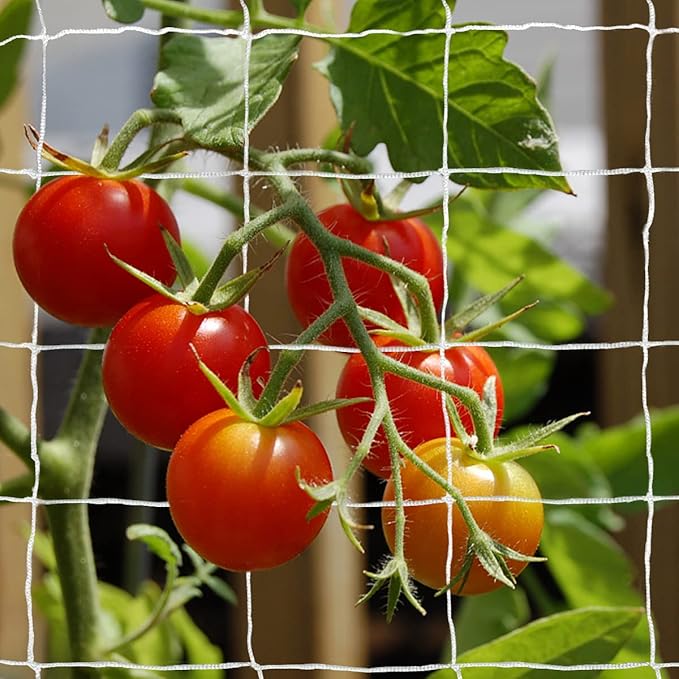 Tcamp Heavy-Duty Polyester Garden Trellis Netting Plant Climbing Net for Growing Vines Plants Vegetables Fruits Flowers, White Grow Tent (5Ft x15Ft, 3.5" Opening Mesh, 1 Pack)