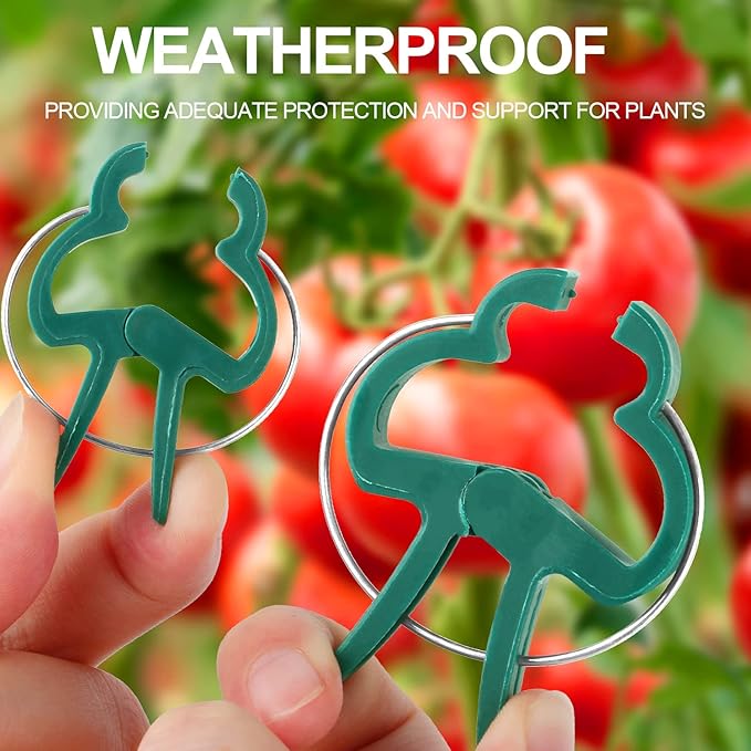 30 Pcs trumpet 1 inch Plant Support Clips,Flower and Vine,Garden Tomato Plant Support Clips for Supporting Stems,Vines Grow Upright Climbing,Tool for Straightening,Tomato Cage,Trellis.