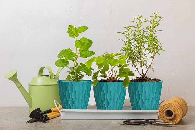 4 Inch Plant Pots, 6 Pack Indoor Flower Pots, Planters with Drainage Holes and Trays for Orchids, Violets, Succulents, Herbs, and Other Plants,Blue-Green