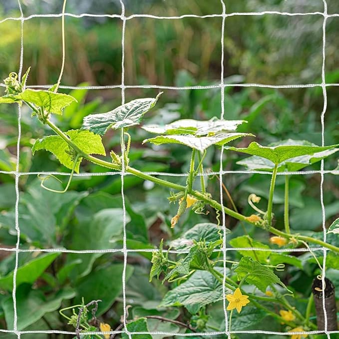 Tcamp Trellis Netting for Climbing Plants Outdoor Indoor (6" Square Mesh Ployester, 5ft x 15ft) (2 Pack)