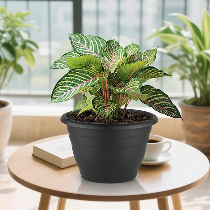 3 Pack 11 Inch Plant Pots,Plastic Flower Pots with Drainage Holes,Lightweight Durable Planters for Indoor Outdoor Plants,Modern Decorative Pots for Patio Garden(Black)