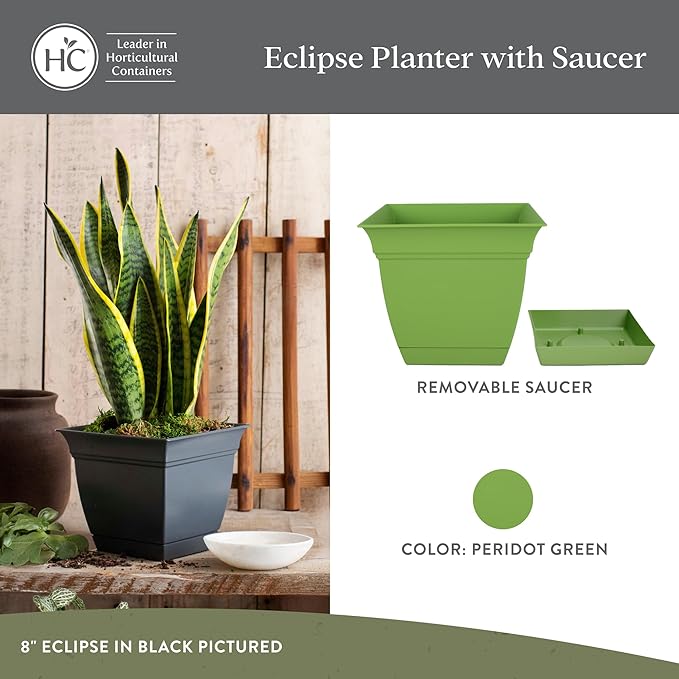 The HC Companies Eclipse Square Plastic Planter w/Attached Saucer - Outdoor & Indoor Plant Pot with Drainage Holes - Lightweight, UV-Resistant Plastic Pots for Plants (6" Peridot Green, Pack of 1)