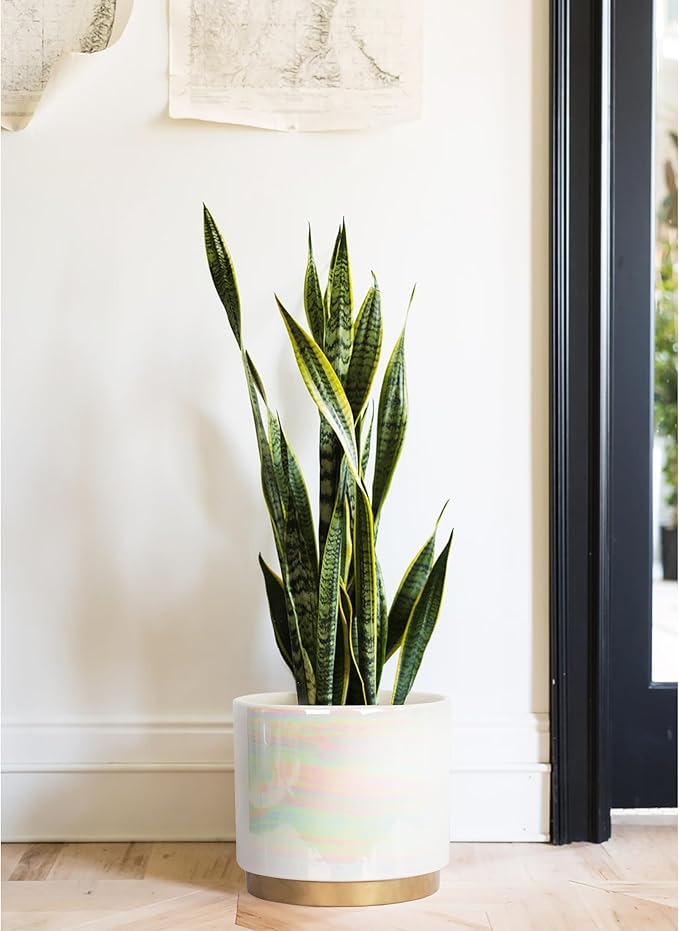 Gepege White Indoor Plant Pots for Plants, Large Ceramic Planter with Drainage Hole, 9.6-inch Succulent Orchid Flower Pot - Rainbow Pearl Glaze