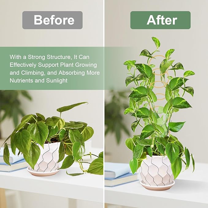 17.5 Inch Indoor Plant Trellis for Climbing Plants,Metal Trellis,Small Garden Trellis for Potted Plants,Plant Stakes for Indoor Plants Accessories Hoya,Flower,Plant Support (Golden-Metal)