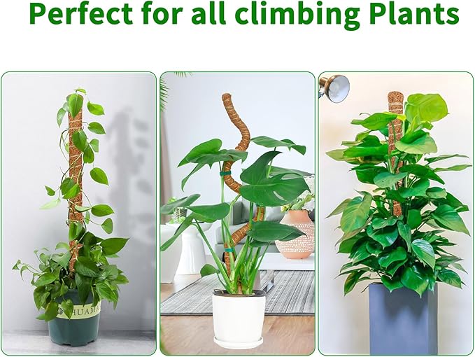 2 Pack 60 Inch Moss Pole Monstera Plant Support, Coir Moss Poles for Climbing Indoor Plants, Bendable Plant Stake Trellis for Potted Plant, Pothos, Philodendron