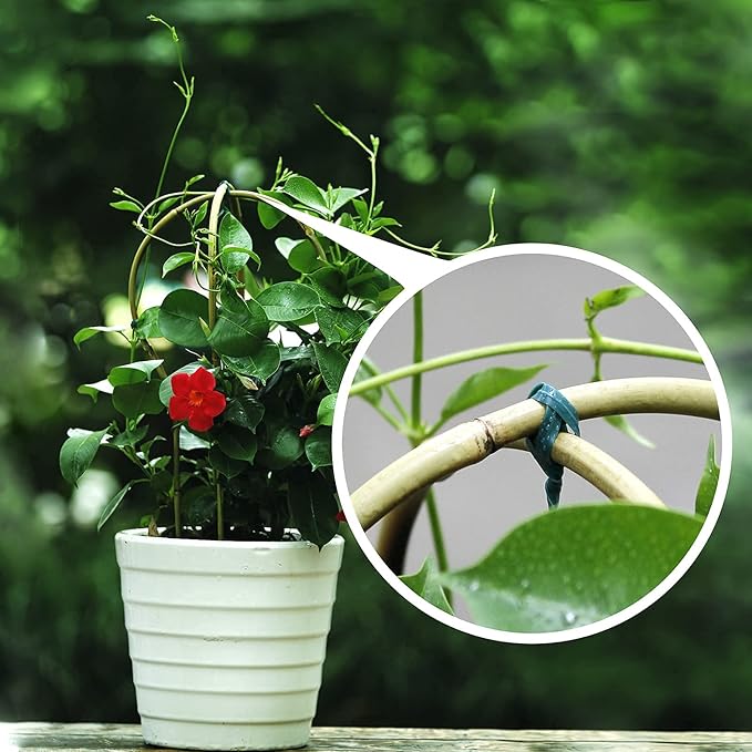 Bamboo Trellis, 16in Ladder-Shaped Trellis for Potted Plants, 3 Pack for Climbing Plants Indoor