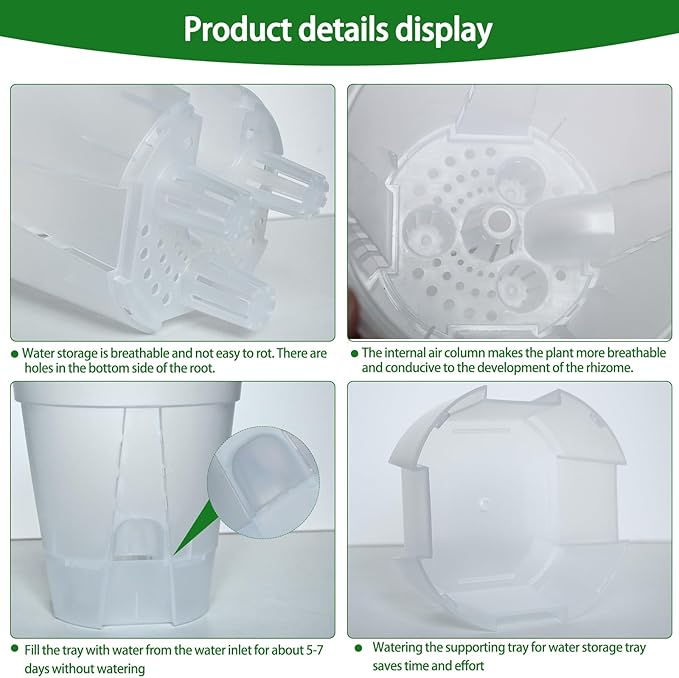 Cdd's Path 5-Pack 6 Inch Self Watering Naked Root Planter Pots with Drainage Holes & Reservoir, Plastic Planters with Air Pipes for Indoor Outdoor Plants，Clear