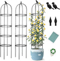 Obelisk Trellis for Garden Plants Climbing: 6ft Rustproof Metal Pipe with Plastic Coated - Potted Plant Climber Support for Outdoor Indoor Grape Vines Vegetable Fruits Flowers (2PC)