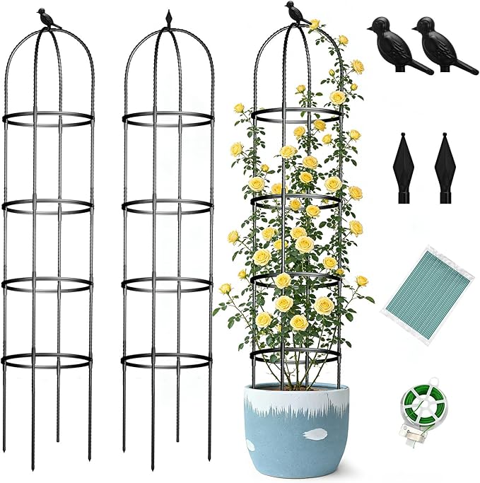 Obelisk Trellis for Garden Plants Climbing: 6ft Rustproof Metal Pipe with Plastic Coated - Potted Plant Climber Support for Outdoor Indoor Grape Vines Vegetable Fruits Flowers (2PC)
