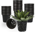 100 Packs 6 Inch Nursery Pots, 4 5 6 Inches Plastic Nursery Pots for Plants with Drainage Holes, Seed Starting Garden Pots of Flower Plant Container for Succulents, Transplanting (100, 6 Inch)