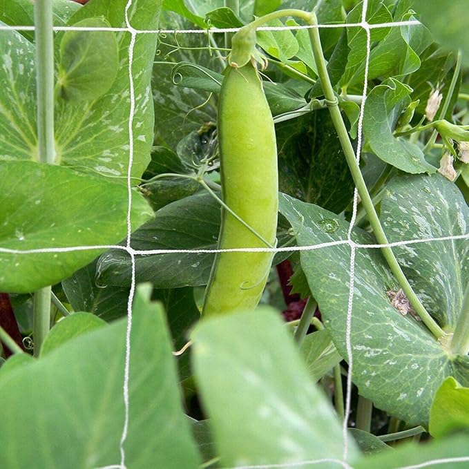 Tcamp Heavy-Duty Polyester Garden Trellis Netting Plant Climbing Net for Growing Vines Plants Vegetables Fruits Flowers, White Grow Tent (5Ft x15Ft, 3.5" Opening Mesh, 1 Pack)