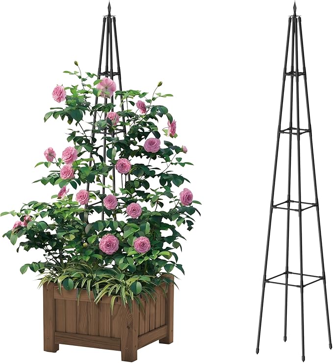 6FT Obelisk Trellis for Climbing Plants Outdoor, 16mm Rust-Proof Extra Thickened Plastic-Coated Metal Pipes, Indoor Climbing Support for Potted Plants, Vines, Flowers Stands,Black