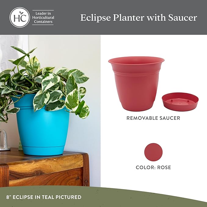 The HC Companies 6 Inch Eclipse Round Planter Pots with Drainage Holes & Attached Saucer, Lightweight UV-Resistant Plastic Indoor & Outdoor Planters, 4-Pack Flower Pots for Garden & Home Decor, Rose