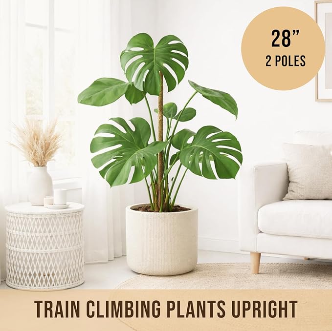 Moss Pole Monstera Plant Support – 2 Pack 28” Bendable Moss Pole Monstera Plant Support, Plant Stakes for Indoor Plants, Tall Plant Sticks Support for Climbing Plants