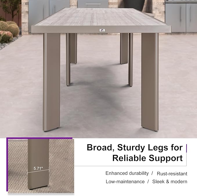 PURPLE LEAF 11 Pieces Outdoor Dining Set Patio Dining Furniture Aluminum Wicker Rattan Outdoor Dining Table and Chairs for Lawn Garden Backyard Champagne