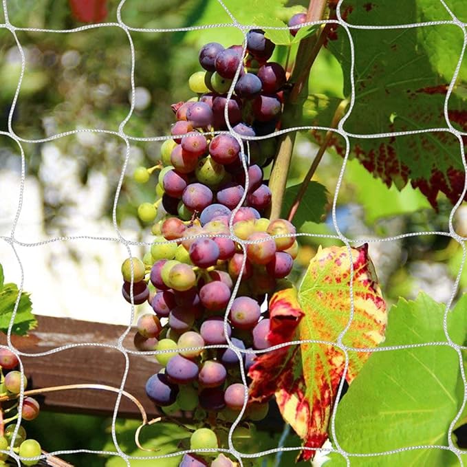 Tcamp Heavy-Duty Polyester Garden Trellis Netting Plant Climbing Net for Growing Vines Plants Vegetables Fruits Flowers, White Grow Tent (5Ft x15Ft, 3.5" Opening Mesh, 1 Pack)