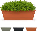 Bloem Dura Cotta 18" Terra Cotta Resin Rectangle Window Box Planter with Saucer Tray for Indoor and Outdoor Gardening