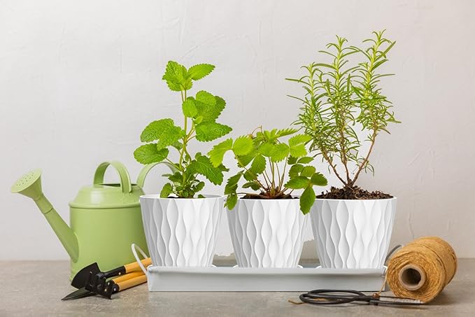 6 Inch Plant Pots, 6 Pack Indoor Flower Pots, Planters with Drainage Holes and Trays for Orchids, Violets, Succulents, Herbs, and Other Plants,White