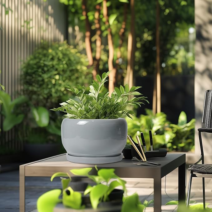 SQOWL 10 Inch Plant Pot - Ceramic Planter for Indoor Plants, Round Ceramic Flower Pot with Drainage Hole and Saucer, Modern Large Outdoor Planter, Room Decor, Housewarming Gifts, Gray