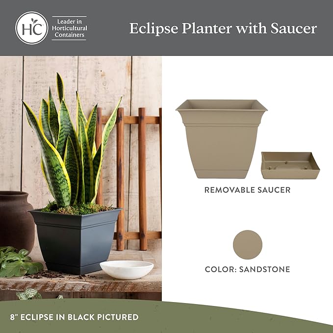 The HC Companies 10 Inch Eclipse Square Planter Pots with Drainage Holes & Attached Saucer, Lightweight UV-Resistant Plastic Indoor Outdoor Planters, 2-Pack Flower Pots, Garden Home Decor, Sandstone