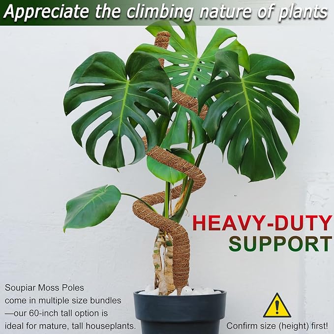 Soupiar 2 Pack 60'' Bendable Moss Pole for Monstera & Pothos - Tall Handmade Coco Coir Plant Support Stakes for Large Climbing Indoor Plants, Potted Houseplant Trellis Accessories