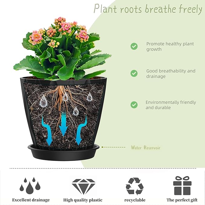 6 Inch Plant Pots, 6 Pack Indoor Flower Pots, Planters with Drainage Holes and Trays for Orchids, Violets, Succulents, Herbs, and Other Plants, Black