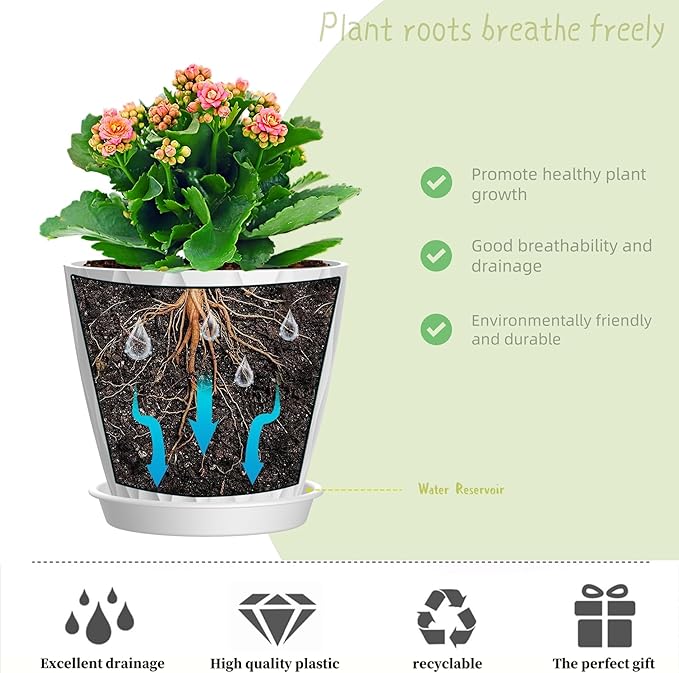 4 Inch Plant Pots, 6 Pack Indoor Flower Pots, Planters with Drainage Holes and Trays for Orchids, Violets, Succulents, Herbs, and Other Plants,White