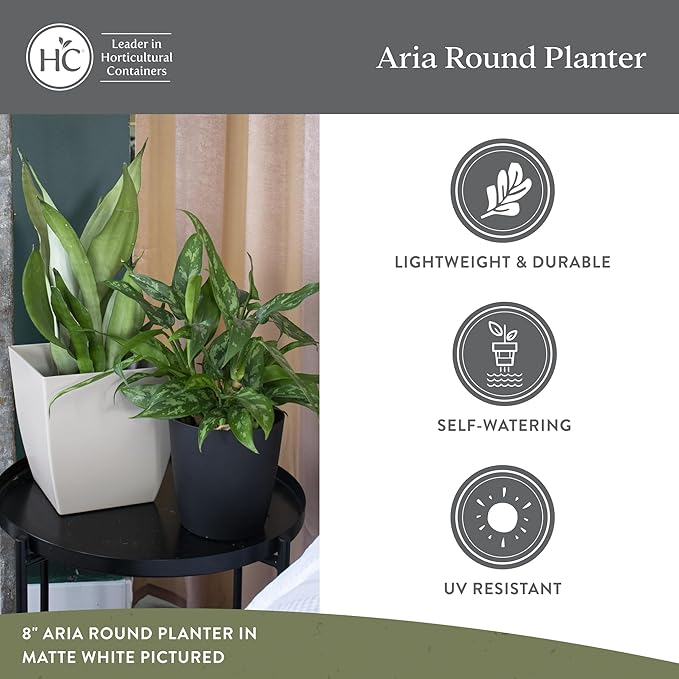 The HC Companies Aria Round Self-Watering Pot - Lightweight Plastic Planter for Herbs & More - Durable Plant Pots for Indoor Plants & Outdoor Plants (6" Glossy Avocado, Pack of 2)