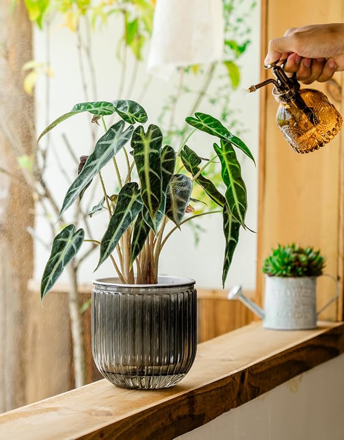 Melphoe Self Watering Pots for Indoor Plants Planter, 6.5/5.3 Inch 2 Pack Planters Self Watering Plant Pots for Flower, Houseplants, Succulent, African Violets and Cactus with Drainage