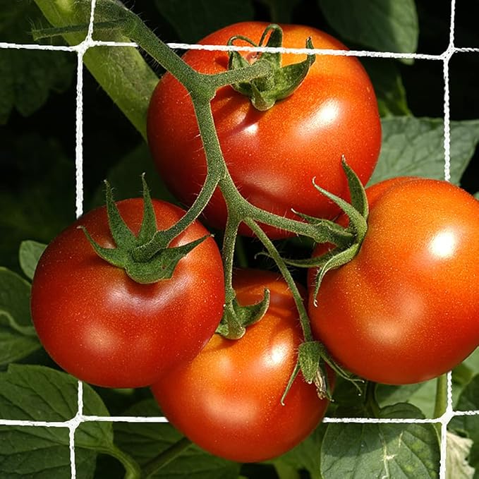Trellis Netting, CANAGROW Heavy-Duty Garden Plant Trellis Netting for Climbing Plants, Outdoor Indoor Grow Net for Beans Tomatoes Peas Pumpkin Flowers, 6x15ft, 1 Pack